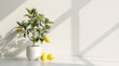 Modern minimalistic white kitchen interior with quartz countertop and potted lemon tree, copy space