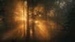 Magical sunlight scatters through a dense forest, giving life to a visually stunning and dreamy misty morning