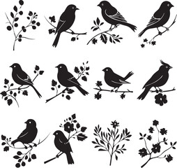 set of bird on a tree branch black silhouette