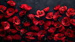 Banner with red poppy flower field symbol for reme Liabilities Poppies in the clear morning sky Poppy Field with Butterflies, Generative Ai 