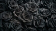 Black roses background. greeting card with roses, Heart of Roses, Valentine's Day. Black roses background