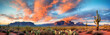  A panoramic view of the Arizona desert with cacti and mountains at sunset. Super fantastic clouds in the sky