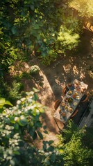 Canvas Print - An aerial view of a picnic table in the woods