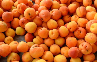 Wall Mural - Fresh ripe Apricots on the market. 