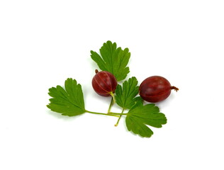 Wall Mural - Red gooseberry with leaves isolated