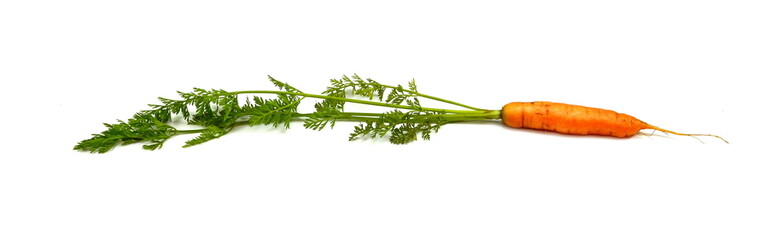 Wall Mural - carrots isolated on white background