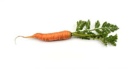 Wall Mural - carrots isolated on white background