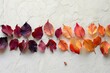 Fallen leaves, artistically arranged.