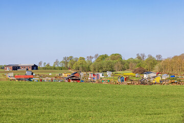 Wall Mural - Allotment garden on a field in a rural landscape