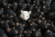 White mouse in a large group of black rodents