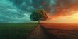 Solitary tree on a path with vibrant sunset sky and green field, depicting tranquility and nature's beauty.
