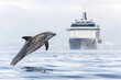 jumping dolphin with cruise ship in background