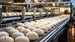 Automated bakery production bread loaves on conveyor belt in a manufacturing facility