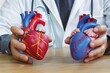 doctor comparing unhealthy and healthy heart models