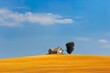 © Photock Agency - Peaceful scene of a solitary farmhouse nestled among golden fields under a vast blue sky.