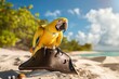 yellow parrot standing on a pirate hat on a sandy shore