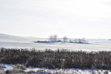 Sticker - snow covered hill