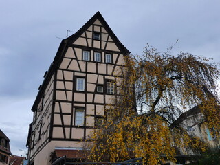 Wall Mural - La petite ville alsacienne de Colmar à Noël