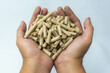 rambutan wood pellet, suitable for smoking food, background