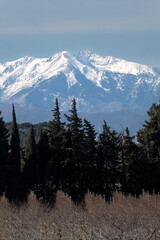 Wall Mural - mount hood stateLe Canigou France