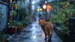 Lonely Orange Cat Strolling Through Rain on Wet Street During Stormy Weather, Reflections in Puddles