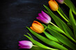 Fresh colorful tulip flowers on dark background, top view with copy space