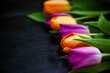 Fresh colorful tulip flowers on dark background, top view with copy space
