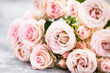 Fresh soft pink roses flowers on gray background, selective focus