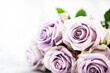 Fresh soft lilac roses flowers on white background, selective focus, copy space for text