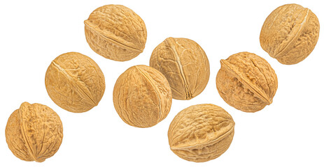 Wall Mural - Whole walnuts isolated on white background, full depth of field