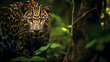 Endangered Predator, A Javan Leopard in Indonesian Forests. Generated AI