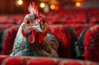 A Poultry Stars Big Premiere Night at the Opulent Red Theater Banner