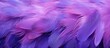Purple feathers are beautifully spread out in a neat row on a wooden table creating a captivating display