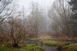 rzeka, mglisty dzień 