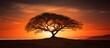 A lone tree standing gracefully atop a hill as the sun dips below the horizon in the background, creating a stunning silhouette against the sky
