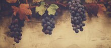 Abundant Grape Bunches Are Suspended From A Vine Growing On A Rustic Wall, Creating A Vintage Look With A Textured Patina Finish