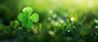 A unique discovery of a four-leaf clover nestled among a sea of green clovers, symbolizing luck and prosperity for St. Patrick's Day