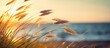 Graceful tall grasses gently swaying in the breeze near the ocean as the sun sets in a picturesque autumn scene