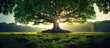 Majestic tree with intricate roots spread out, vibrant green leaves, surrounding grass,