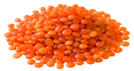 Wall Mural - A small heap of raw red lentils isolated on the white background.