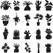 Vector pack of an assortment of plant pots featuring various shapes and sizes