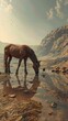 Horse and fly at a Martian waterhole midday