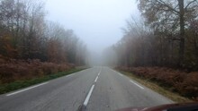 Beautiful view from a driver's perspective driving on a road between trees on a foggy autumn