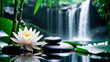 White lotus flower on zen stones and bamboo leaves with waterfall background
