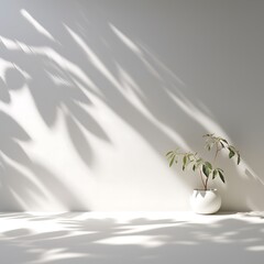 Minimalistic light background with blurred foliage shadow on a white wall. Beautiful background for presentation.