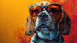 beagle dog with sunglasses