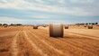 Field of hay rolls under blue sky with clouds