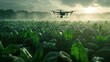 a Drone flying to spray fertilizer in the field, smart farmer concept. Ai generated