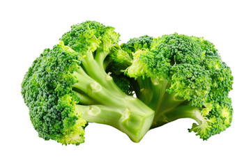 Wall Mural - broccoli isolated on white or transparent png