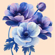 A vibrant bouquet of blue and purple anemone flowers in full bloom, isolated on a white background.